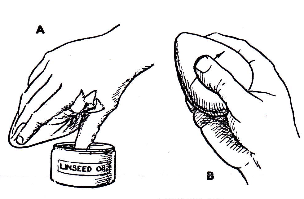 French Polishing