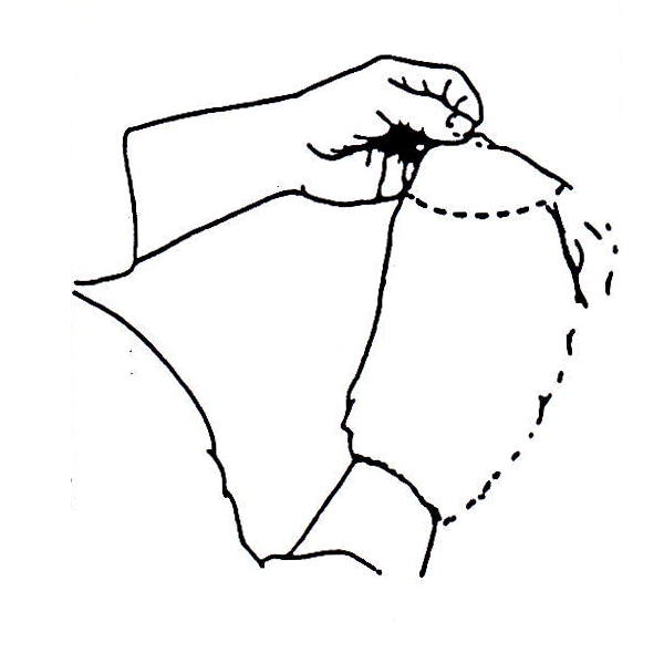 Fig-3.2