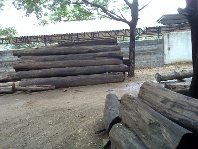 Timber