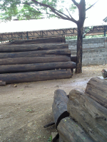 Timber